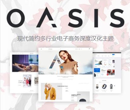 wordpress OASIS大气响应式国外电商主题