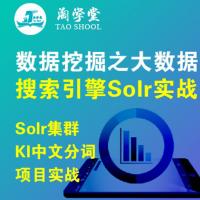 大数据搜索引擎Solr项目实战视频教程 数据挖掘之大数据搜索引擎Solr项目实战视频