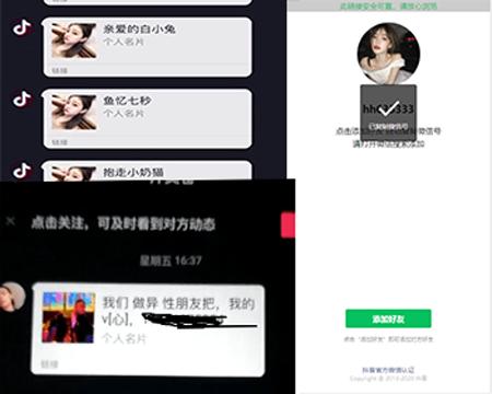 抖音私信名片抖音私信卡片插件带后台无授权可二开