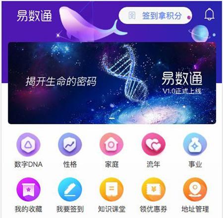 易数通-数易通-算命-生命密码-数字能量-九宫格-uniapp-小程序+后台