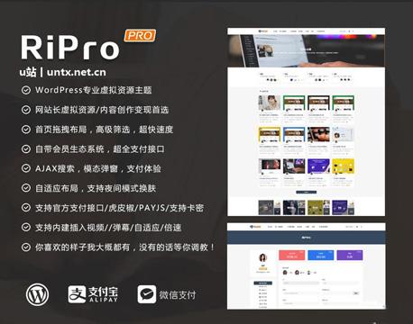 WordPress主题ripro6.1破解授权版+主题包+美化包+操作流程