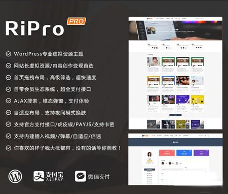 开心版WordPre日主题RiPro v8.6虚拟资源下载类主题（完美无错版）,新增讯虎支付接口（支持支付宝+微信支付)